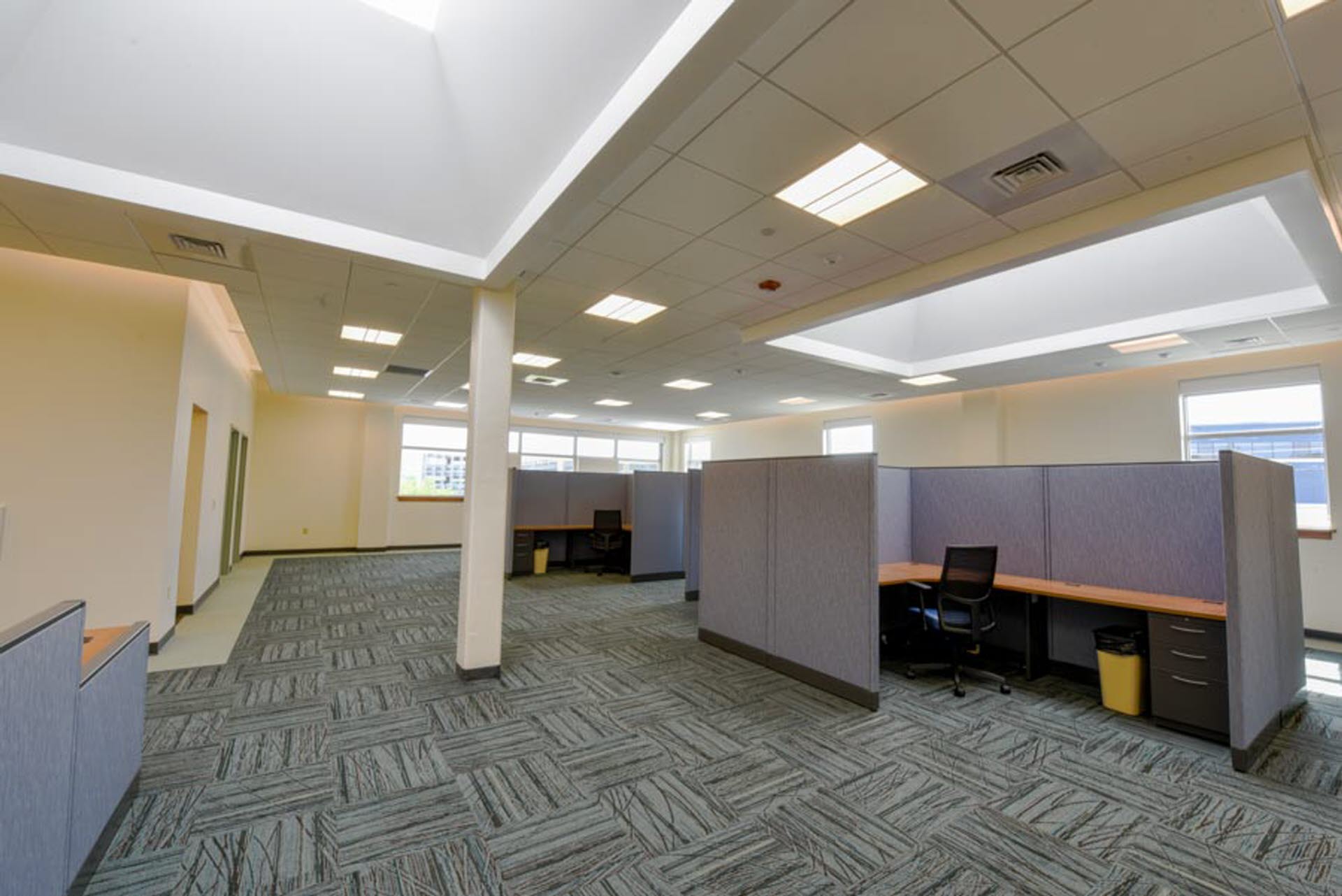 Windows and Skylights allow natural light into the Open Office Areas